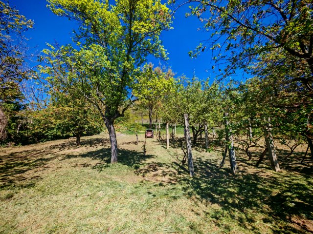 Eladó telek, Kesztölcön, Dózsa György utcában 30 M Ft