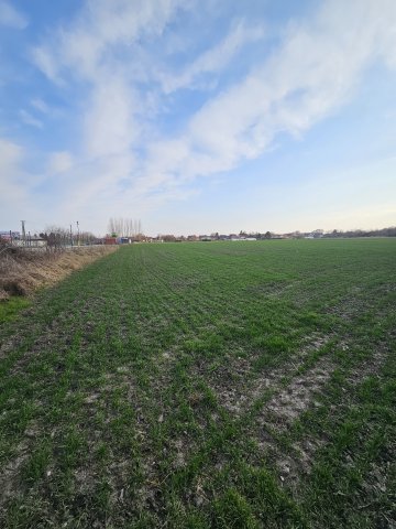 Eladó telek, Pápán 59.9 M Ft / költözzbe.hu