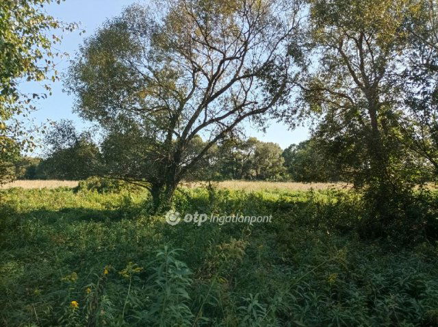 Eladó mezogazdasagi ingatlan, Csabrendeken 45 M Ft