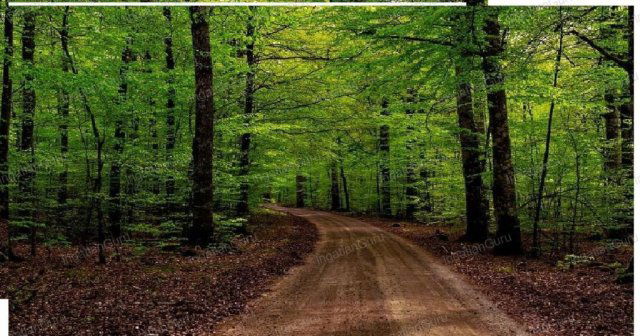 Eladó mezogazdasagi ingatlan, Kecskeméten 11.5 M Ft