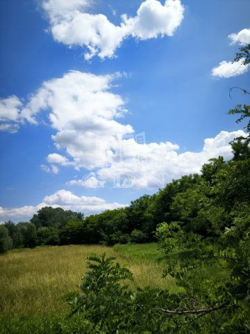 Eladó mezogazdasagi ingatlan, Sződön 19.9 M Ft