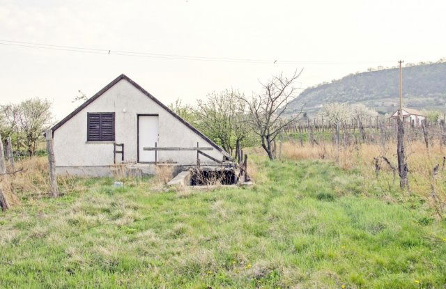 Eladó mezogazdasagi ingatlan, Dobán 6.9 M Ft