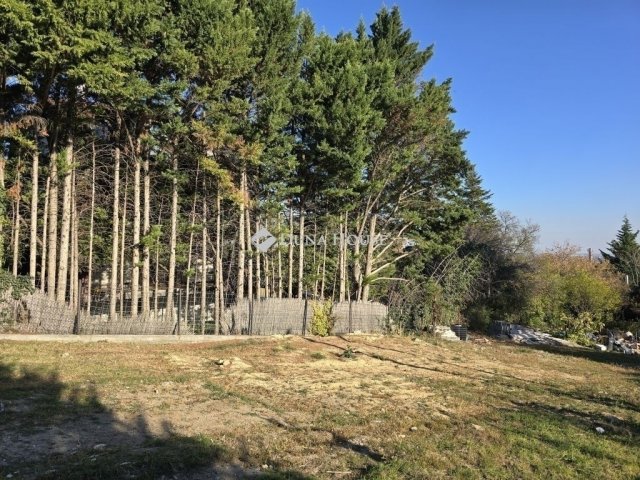 Eladó ikerház, Diósdon 165 M Ft, 4+1 szobás