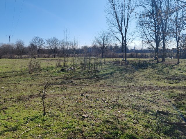 Eladó telek, Mezőtúron 8 M Ft / költözzbe.hu