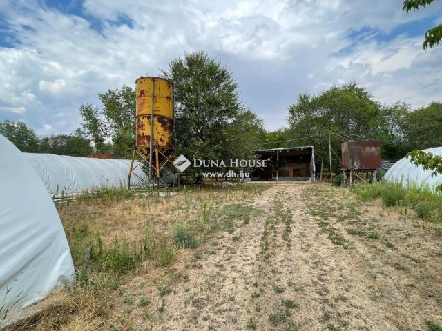 Eladó mezogazdasagi ingatlan, Jászszentlászlón 42 M Ft, 5 szobás