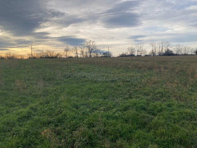 Eladó mezogazdasagi ingatlan, Bálványoson 6.4 M Ft