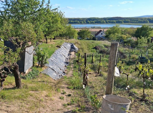Eladó mezogazdasagi ingatlan, Kajászón 14.99 M Ft