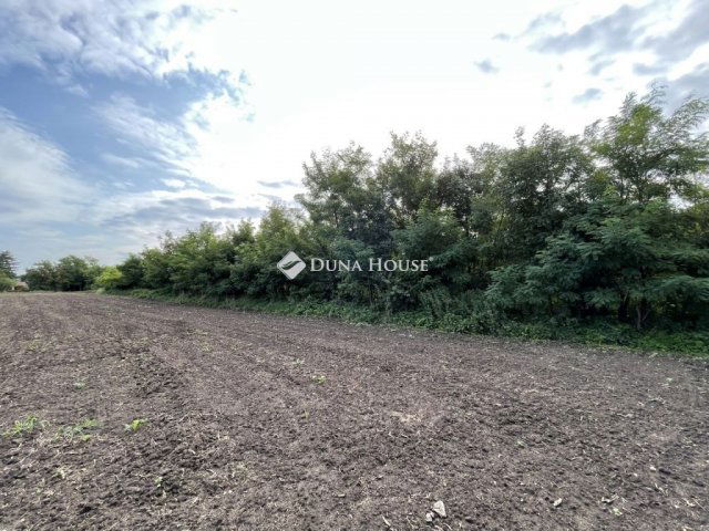 Eladó családi ház, Szakonyon 7.99 M Ft, 1 szobás