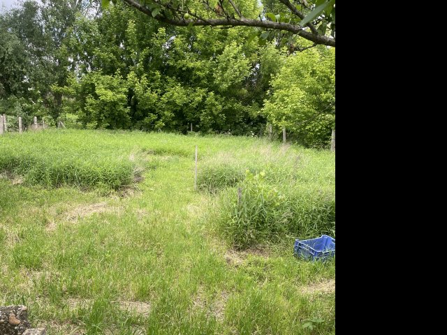 Eladó telek, Sződön 40 M Ft / költözzbe.hu