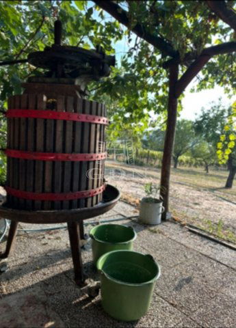 Eladó telek, Kőröshegyen 39 M Ft / költözzbe.hu