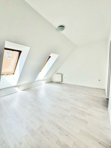 Kiadó téglalakás, albérlet, VII. kerületben, Holló utcában