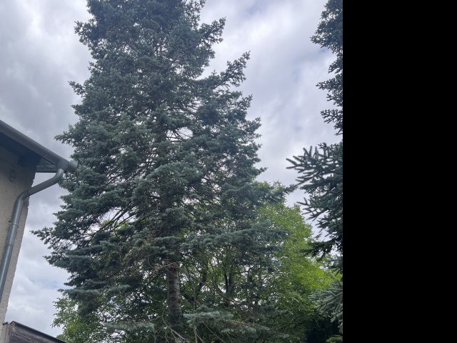 Eladó telek, Budapesten, X. kerületben, Heves utcában 119 M Ft
