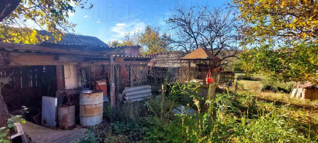 Eladó családi ház, Bálványoson 40 M Ft, 3 szobás