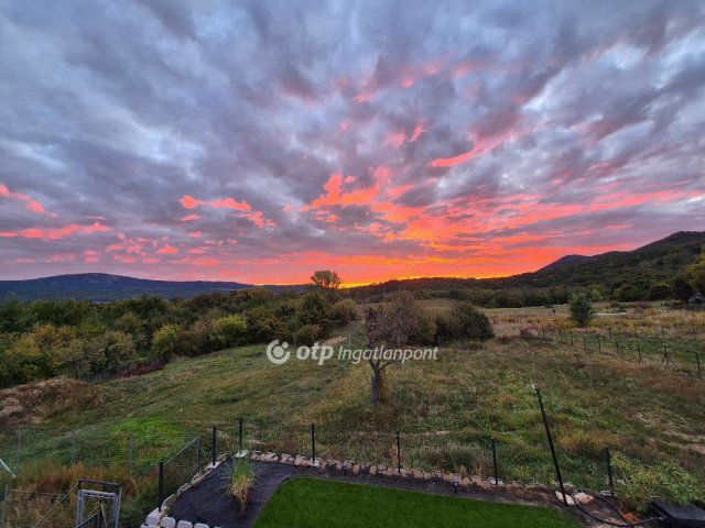 Eladó családi ház, Solymáron 223 M Ft, 4 szobás