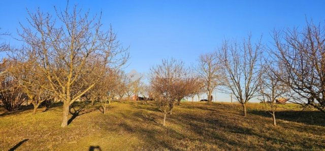 Eladó mezogazdasagi ingatlan, Egerágon 159 M Ft, 5 szobás