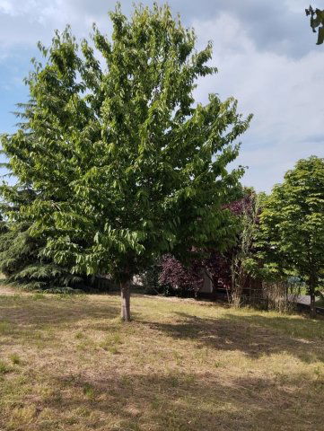 Eladó telek, Győrújbaráton 14.5 M Ft / költözzbe.hu