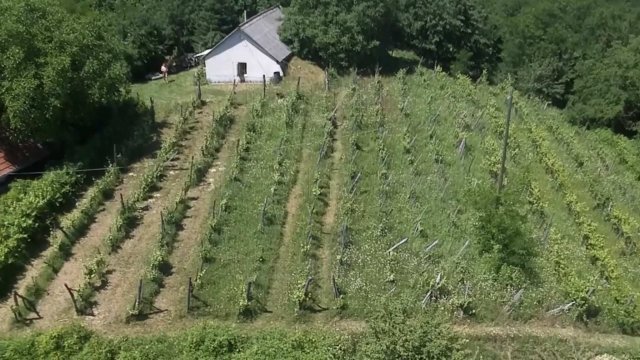 Eladó mezogazdasagi ingatlan, Lesencetomajon 105 M Ft, 1 szobás