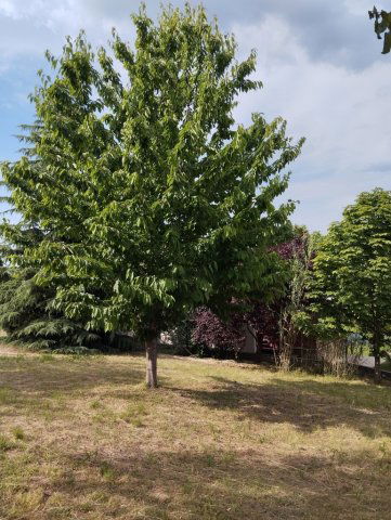 Eladó telek, Győrújbaráton 14.5 M Ft / költözzbe.hu