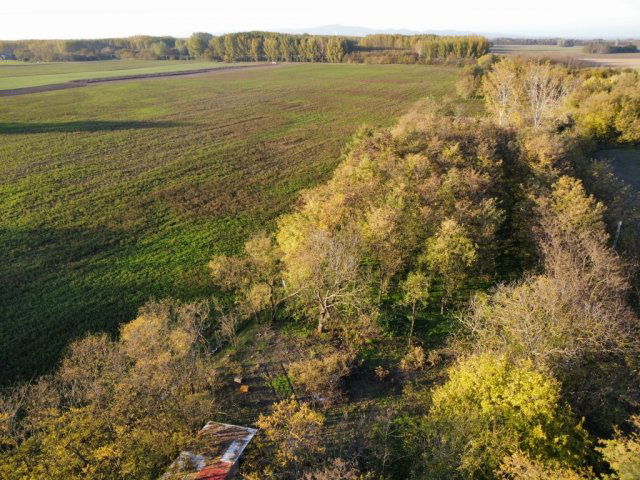 Eladó mezogazdasagi ingatlan, Jászszentandráson 13.5 M Ft
