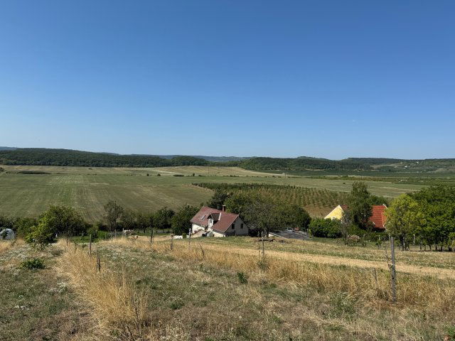 Eladó mezogazdasagi ingatlan, Balatonszőlősön 49 M Ft