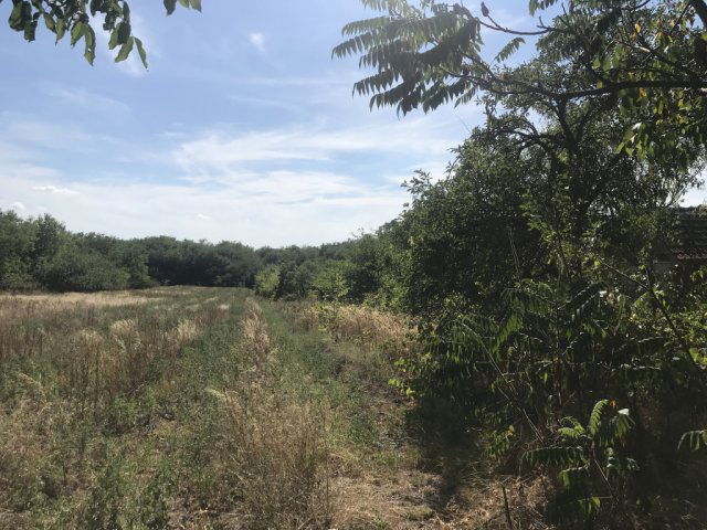 Eladó telek, Gyömrőn 7.5 M Ft / költözzbe.hu