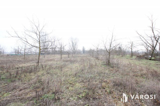 Eladó családi ház, Algyőn 30 M Ft / költözzbe.hu