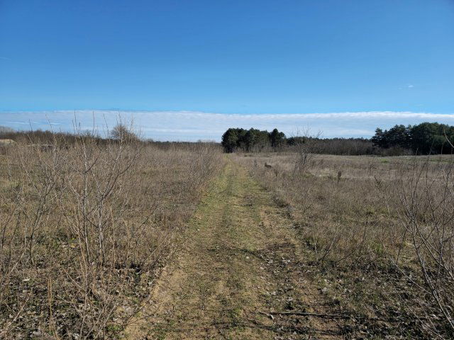 Eladó mezogazdasagi ingatlan, Baján 7.9 M Ft