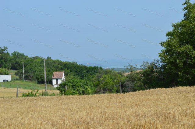 Eladó mezogazdasagi ingatlan, Balatonendréden 10 M Ft
