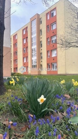 Eladó téglalakás, Szombathelyen 37 M Ft, 2 szobás