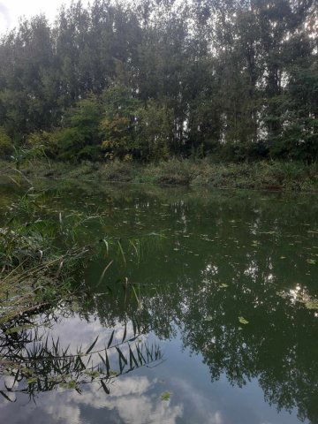 Eladó telek, Hajdúszoboszlón 6 M Ft / költözzbe.hu
