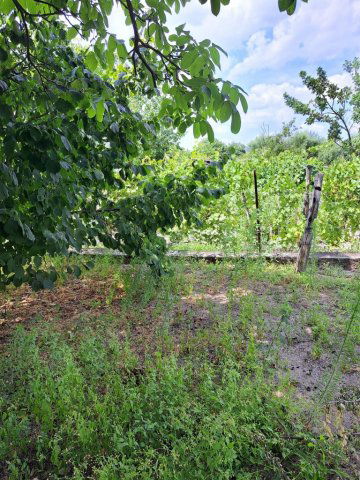 Eladó családi ház, Turán 42.6 M Ft, 2+1 szobás