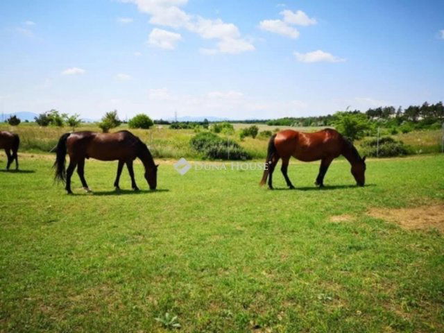 Eladó mezogazdasagi ingatlan, Fóton 198 M Ft