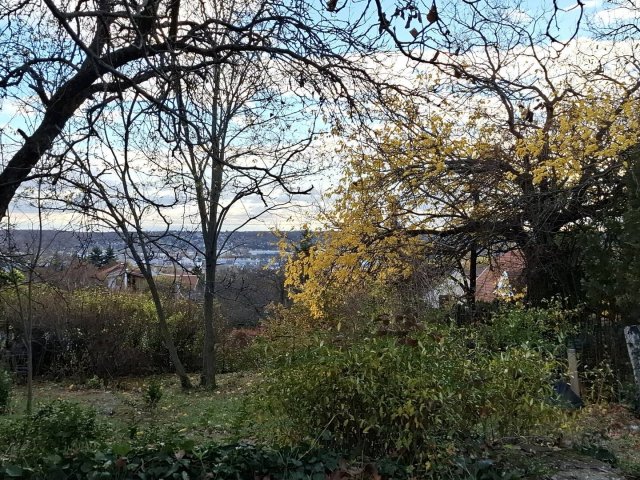 Eladó telek, Budaörsön, Naphegy utcában 110 M Ft