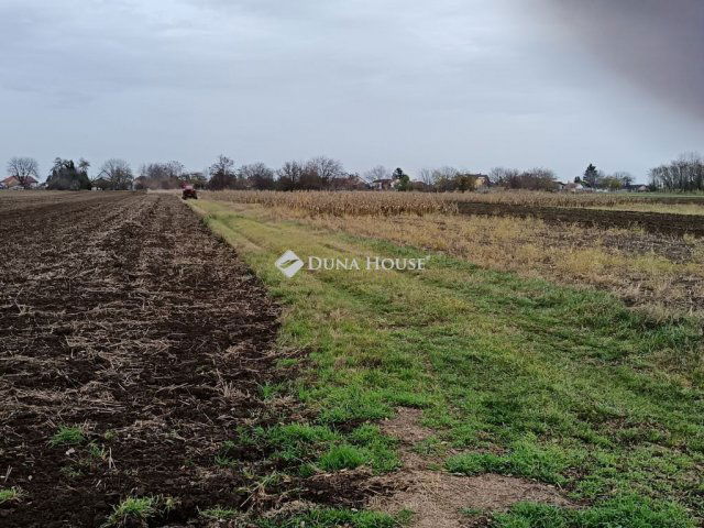 Eladó telek, Balatonszabadiban 22 M Ft / költözzbe.hu