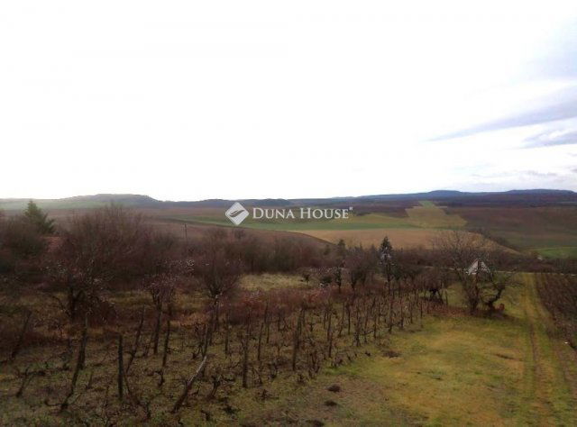 Eladó mezogazdasagi ingatlan, Bajnán 12.5 M Ft, 1 szobás