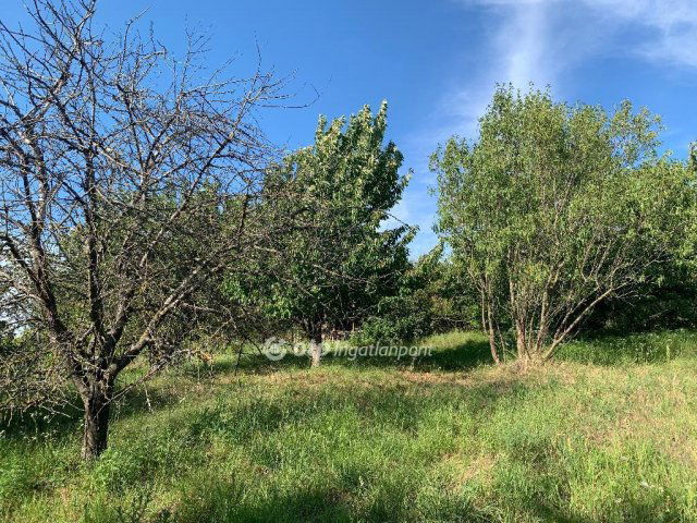 Eladó telek, Gyúrón 10 M Ft / költözzbe.hu