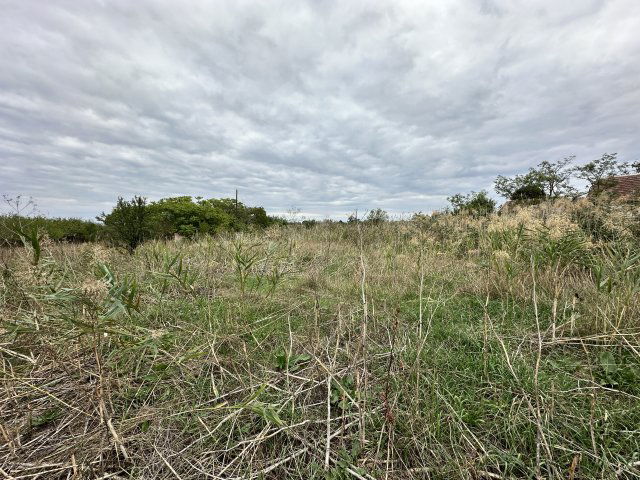 Eladó telek, Mezőberényben, Gyomai úton 0.99 M Ft