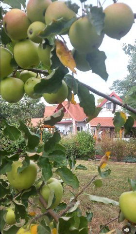 Eladó családi ház, Cserszegtomajon 230 M Ft, 5+2 szobás