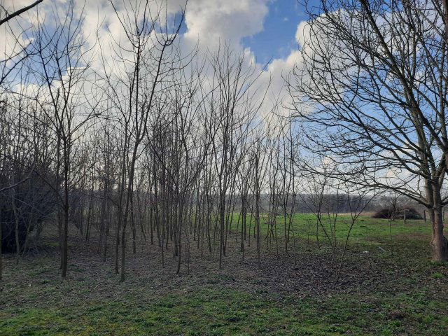 Eladó családi ház, Zalaszentjakabon 19.9 M Ft, 2+1 szobás