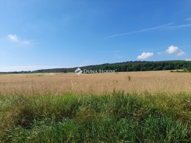 Eladó telek, Isaszegen 150 M Ft / költözzbe.hu