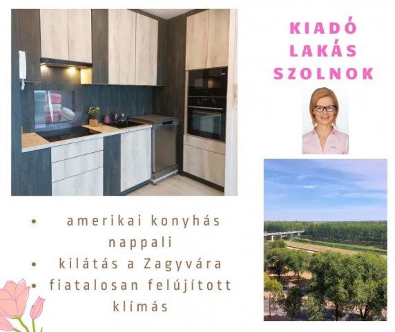 Kiadó panellakás, albérlet, Szolnokon 130 E Ft / hó, 1+1 szobás