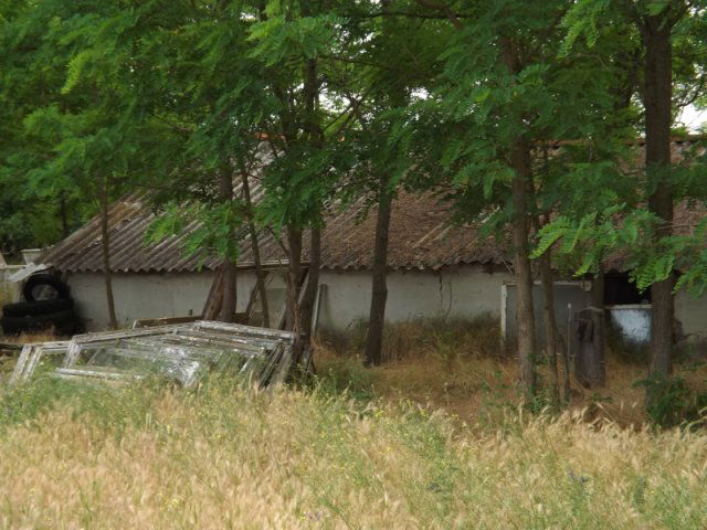 Eladó mezogazdasagi ingatlan, Lajosmizsén 45 M Ft