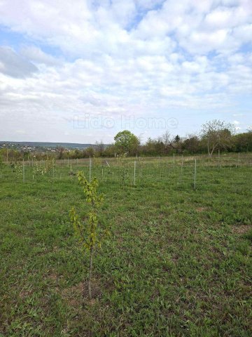Eladó telek, Balatonkenesén 40.9 M Ft / költözzbe.hu