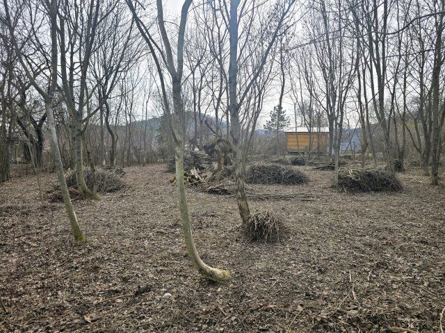 Eladó telek, Dunabogdányban 24.9 M Ft / költözzbe.hu