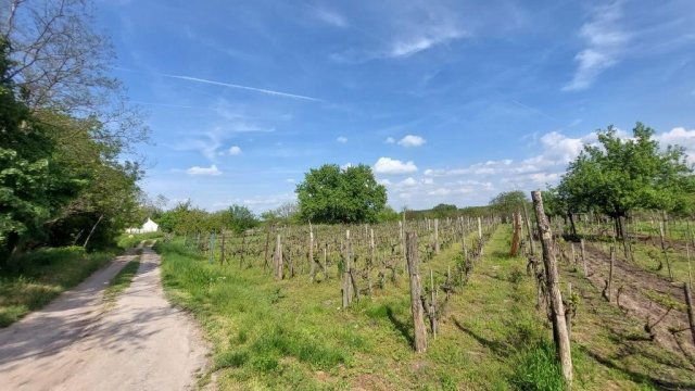 Eladó telek, Nagyberkin 2.5 M Ft / költözzbe.hu