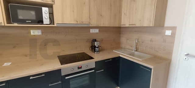 Kiadó üzlethelyiség, Szegeden 308 E Ft / hó