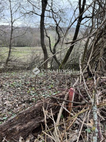Eladó mezogazdasagi ingatlan, Szentkirályszabadján 5 M Ft