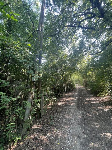 Eladó telek, Miskolcon 1.25 M Ft / költözzbe.hu