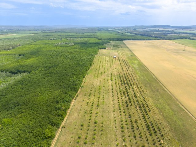 Eladó mezogazdasagi ingatlan, Sződön 149.9 M Ft