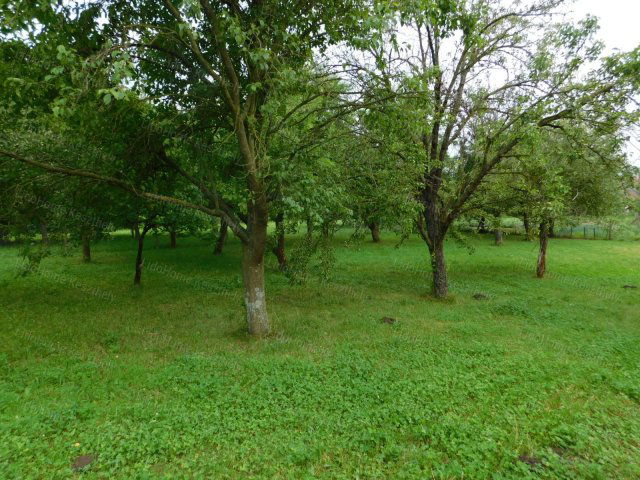 Eladó telek, Kehidakustányban 5 M Ft / költözzbe.hu